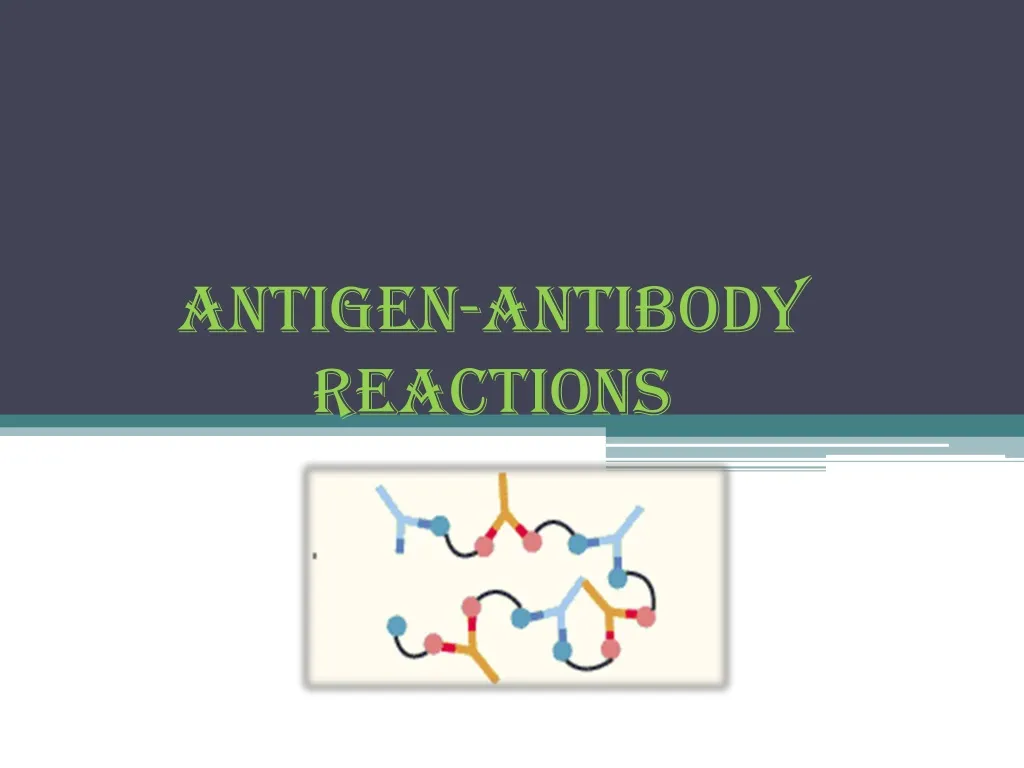 antigen antibody reactions