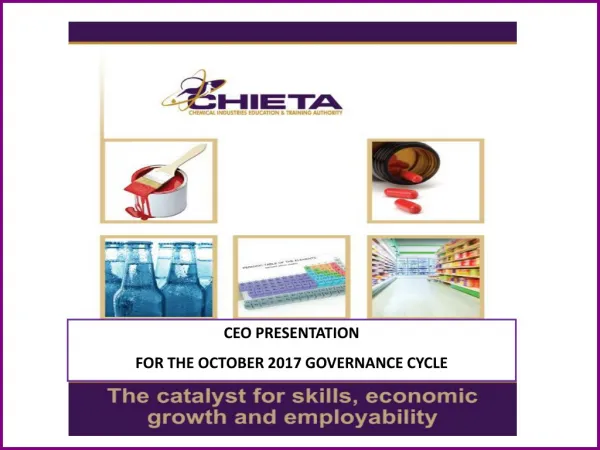 CEO PRESENTATION FOR THE OCTOBER 2017 GOVERNANCE CYCLE