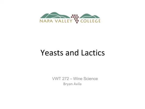 Yeasts and Lactics