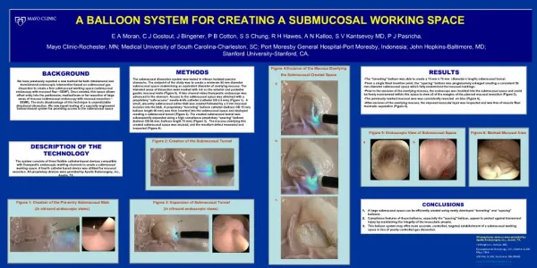 A BALLOON SYSTEM FOR CREATING A SUBMUCOSAL WORKING SPACE