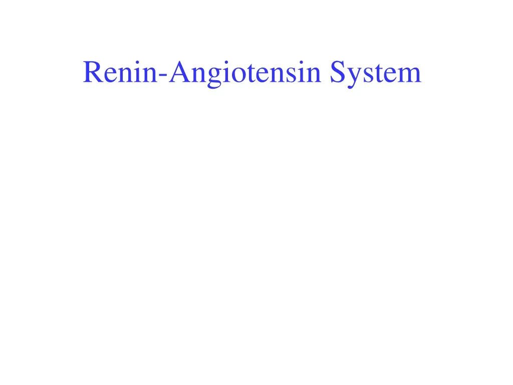 renin angiotensin system