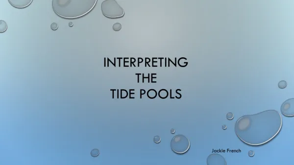Interpreting the Tide pools