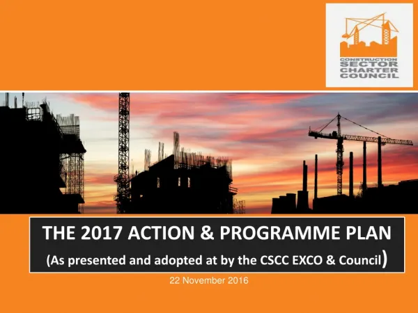 THE 2017 ACTION &amp; PROGRAMME PLAN (As presented and adopted at by the CSCC EXCO &amp; Council )