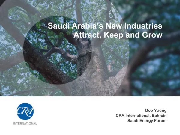 Saudi Arabia s New Industries Attract, Keep and Grow