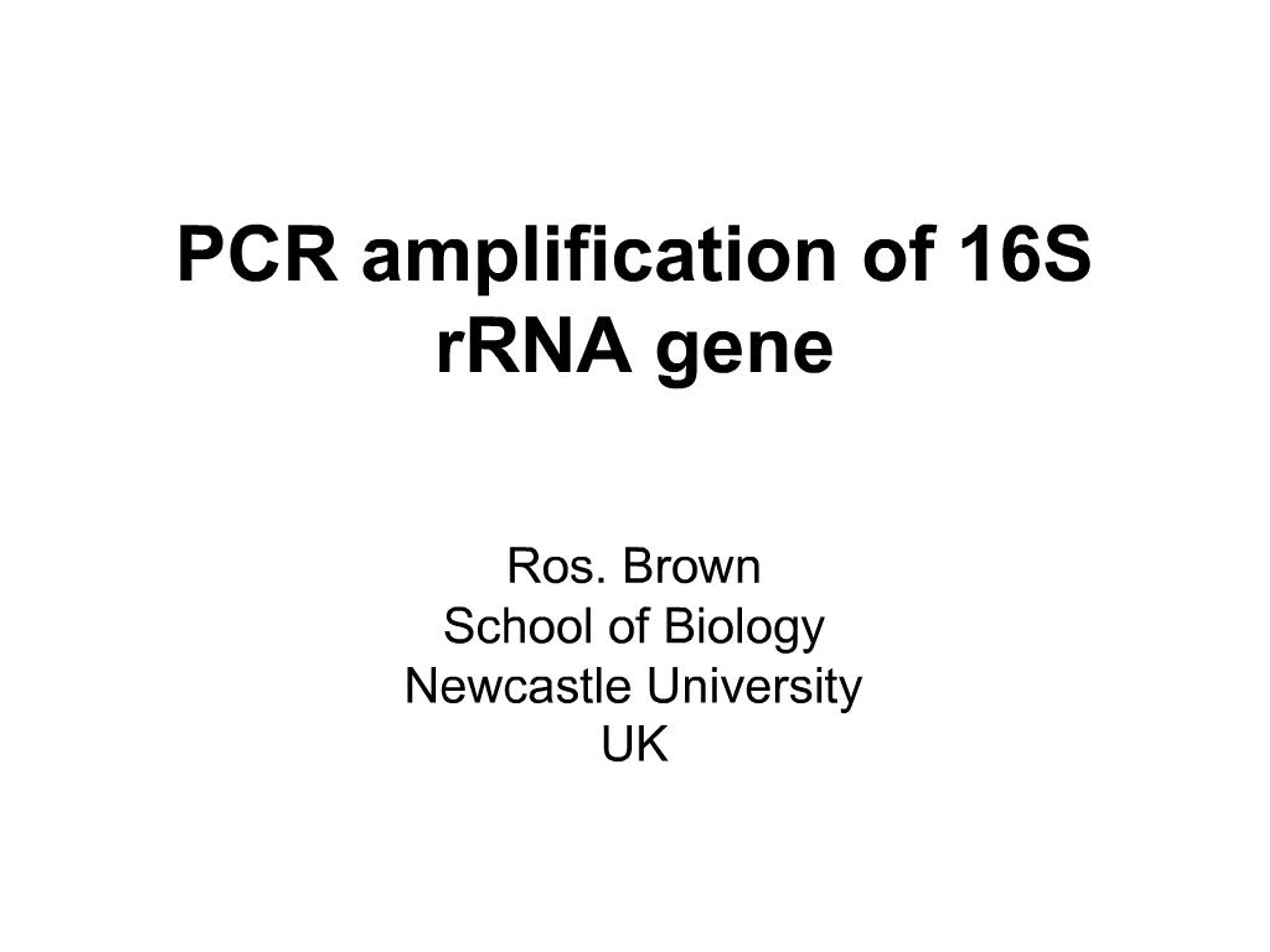 PPT - PCR amplification of 16S rRNA gene PowerPoint Presentation, free ...