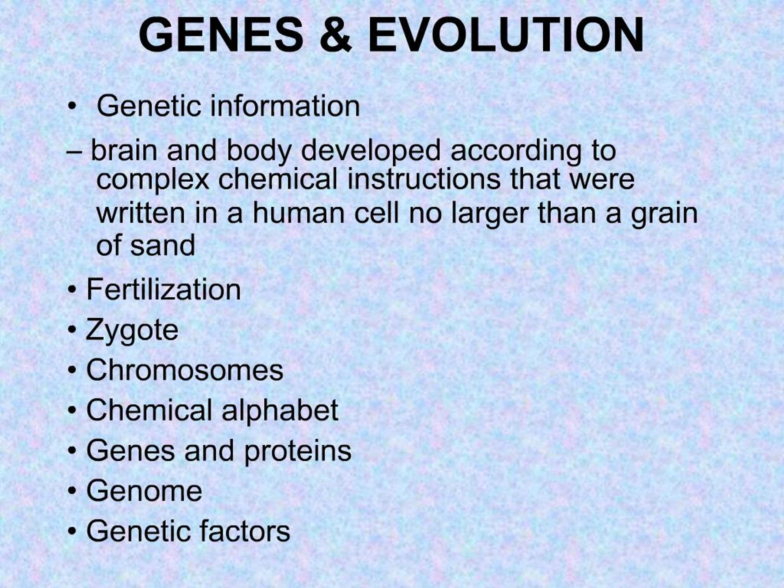 PPT - GENES EVOLUTION PowerPoint Presentation, free download - ID:611944