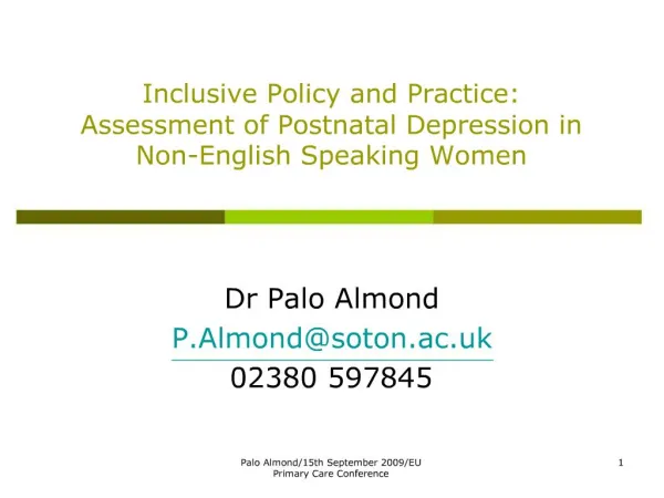 Inclusive Policy and Practice: Assessment of Postnatal Depression in Non-English Speaking Women