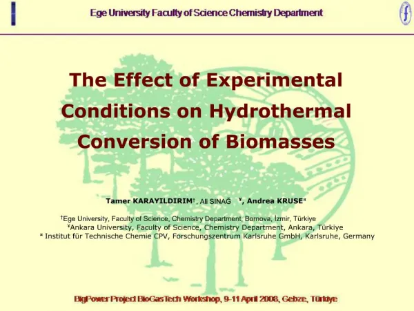 The Effect of Experimental Conditions on Hydrothermal Conversion of Biomasses
