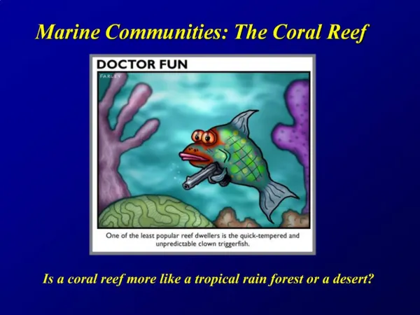 Marine Communities: The Coral Reef