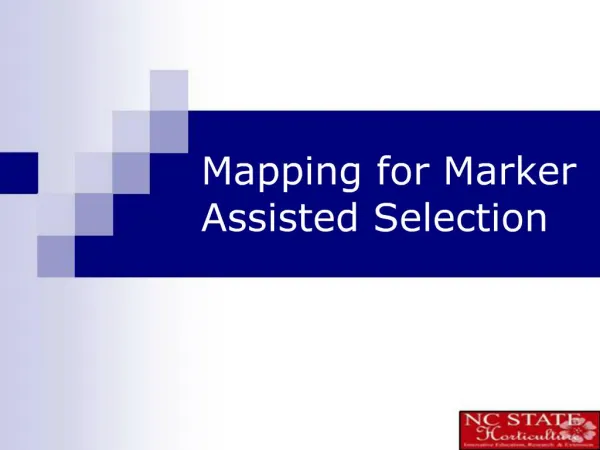Mapping for Marker Assisted Selection
