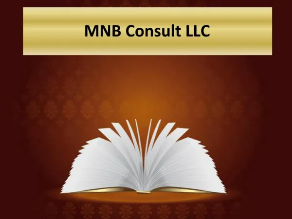 MNB Consult LLC