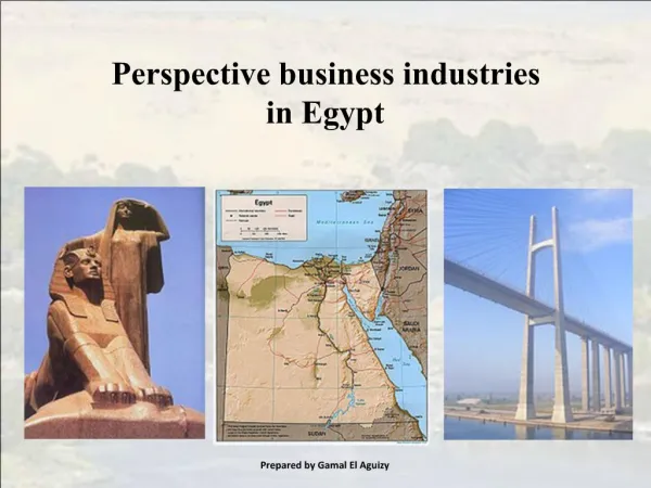 Perspective business industries in Egypt