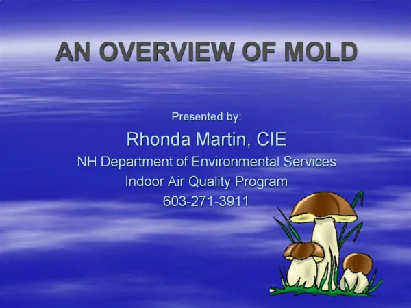 AN OVERVIEW OF MOLD