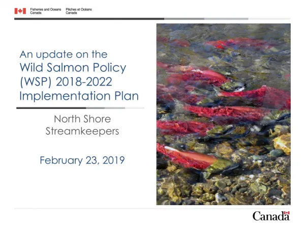 An update on the Wild Salmon Policy (WSP) 2018-2022 Implementation Plan