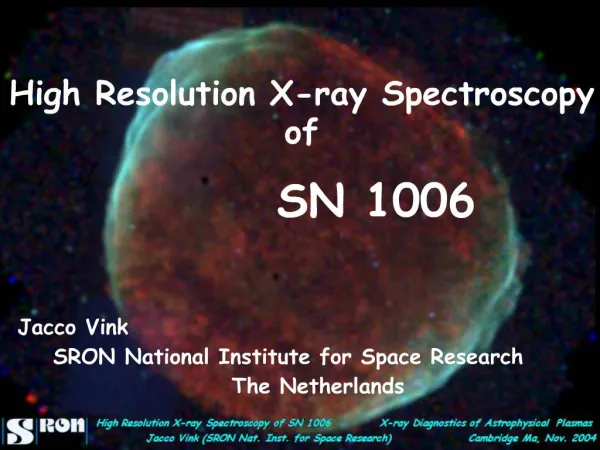 High Resolution X-ray Spectroscopy of SN 1006