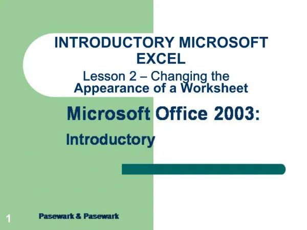 INTRODUCTORY MICROSOFT EXCEL Lesson 2 Changing the Appearance of a Worksheet