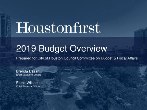 2019 Budget Overview Prepared for City of Houston Council Committee on Budget &amp; Fiscal Affairs