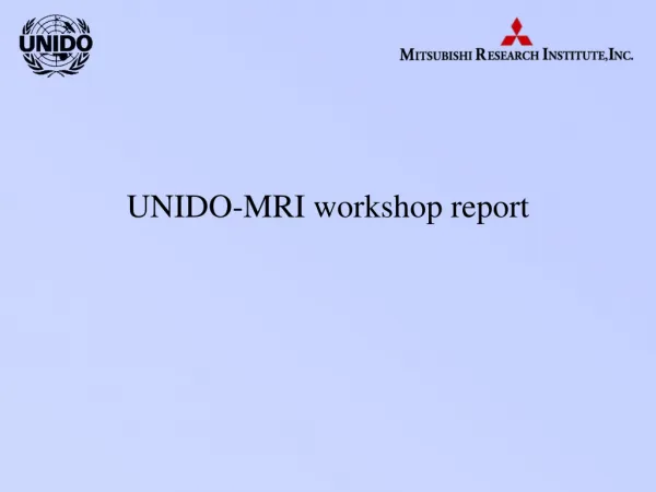 UNIDO-MRI workshop report