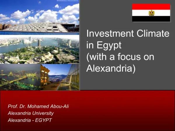 Investment Climate in Egypt with a focus on Alexandria