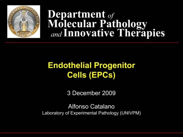 Endothelial Progenitor Cells EPCs