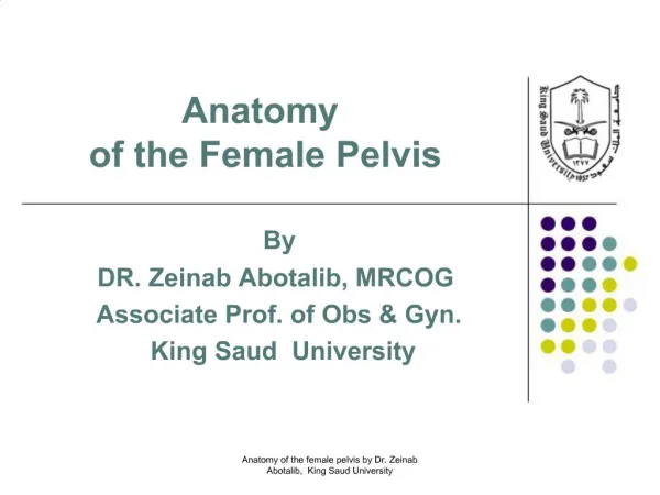 Anatomy of the Female Pelvis