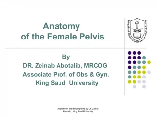 Anatomy of the Female Pelvis - slide 1
