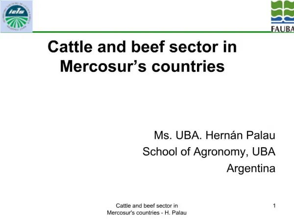 Cattle and beef sector in Mercosur s countries