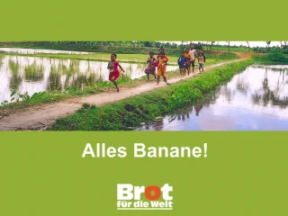 Alles Banane - slide 1