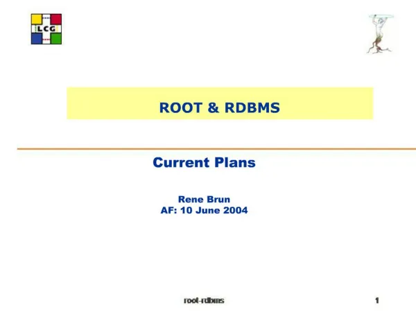 Current Plans Rene Brun AF: 10 June 2004