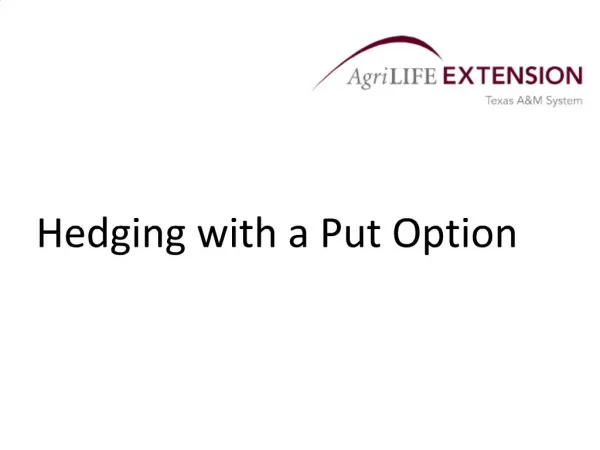 Hedging with a Put Option