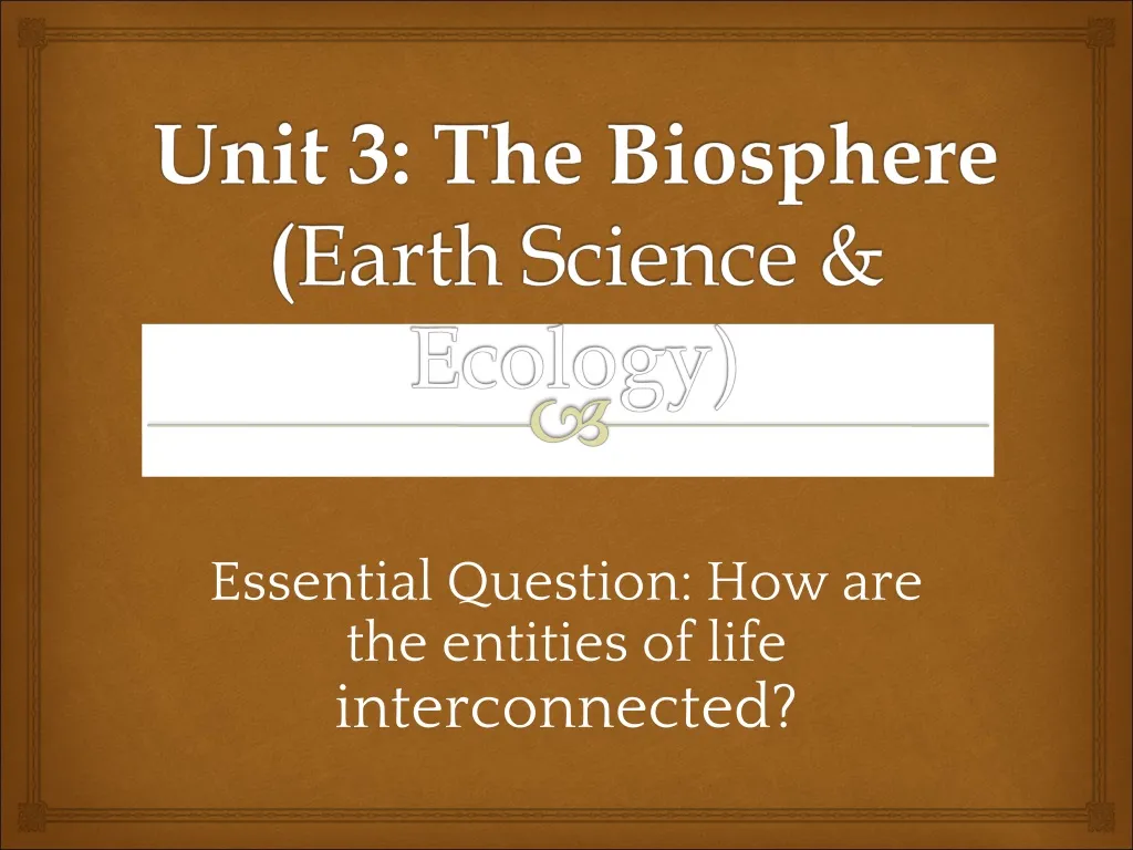 essential question how are the entities of life interconnected