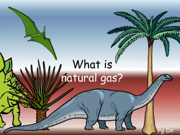 What is natural gas