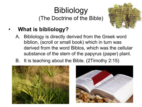 Bibliology The Doctrine of the Bible