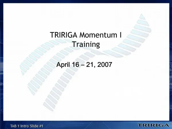 TRIRIGA Momentum I Training