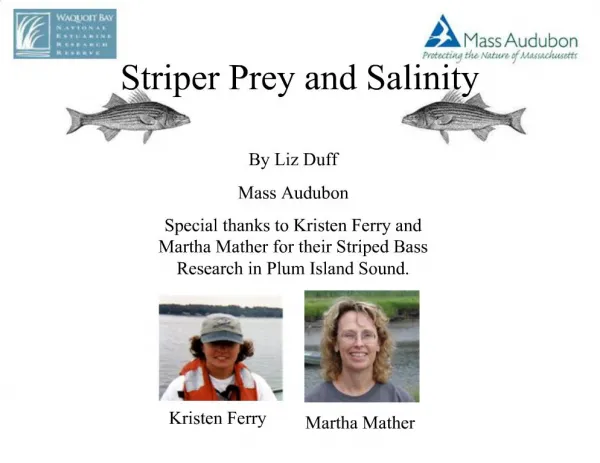 Striper Prey and Salinity