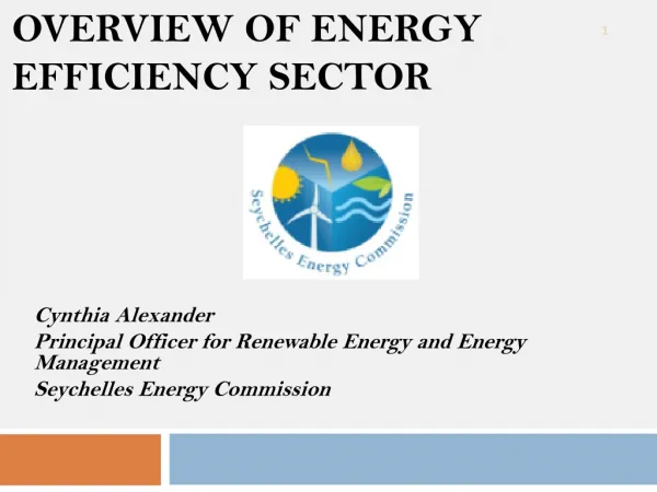 Overview of Energy efficiency sector