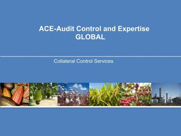 ACE-Audit Control and Expertise GLOBAL