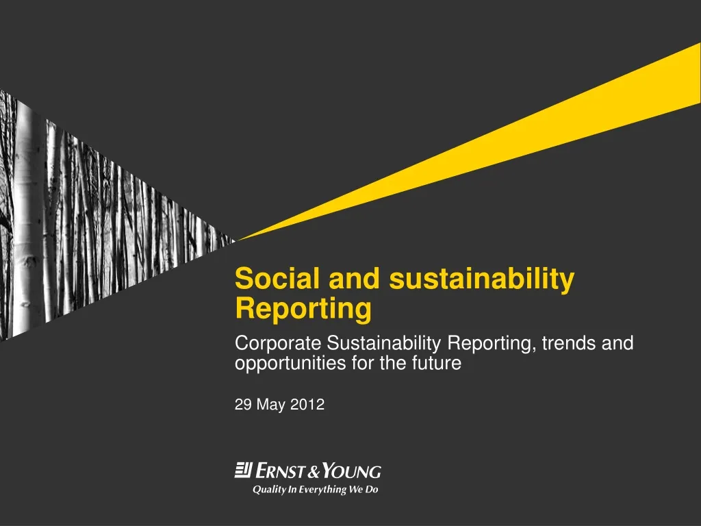 social and sustainability reporting