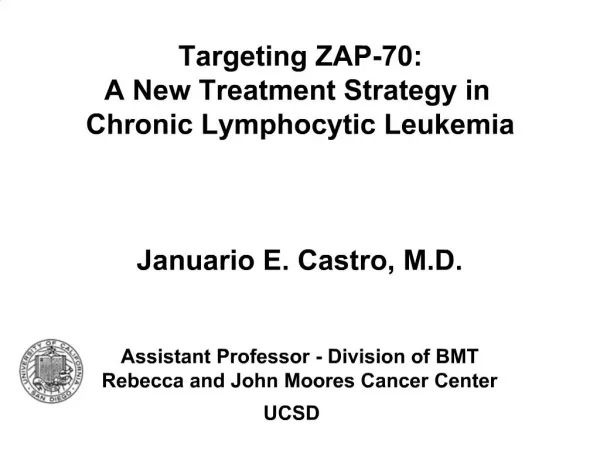 Targeting ZAP-70: A New Treatment Strategy in Chronic Lymphocytic Leukemia Januario E. Castro, M.D. Assistant Prof