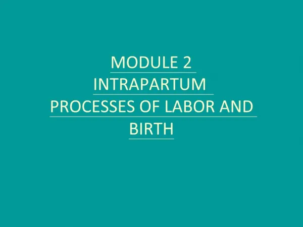 MODULE 2 INTRAPARTUM PROCESSES OF LABOR AND BIRTH