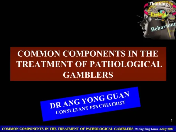 COMMON COMPONENTS IN THE TREATMENT OF PATHOLOGICAL GAMBLERS