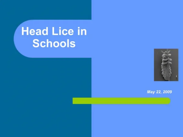 Head Lice in Schools