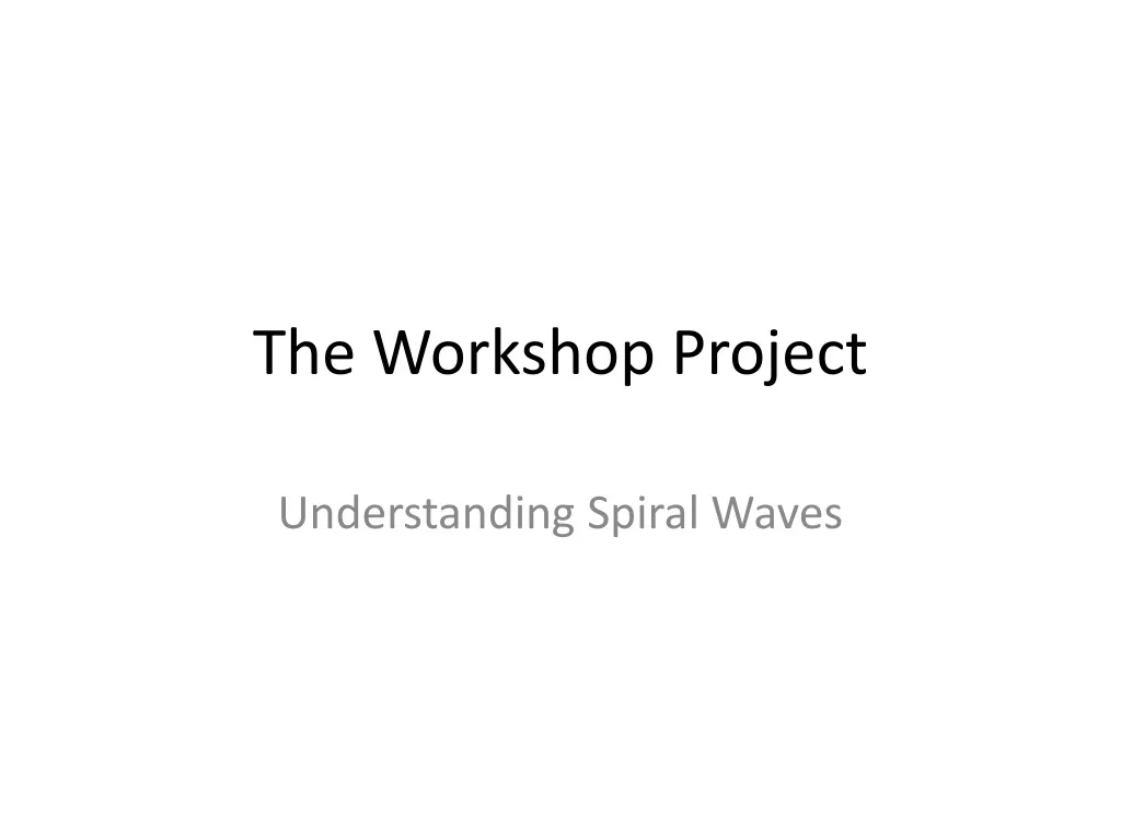 the workshop project