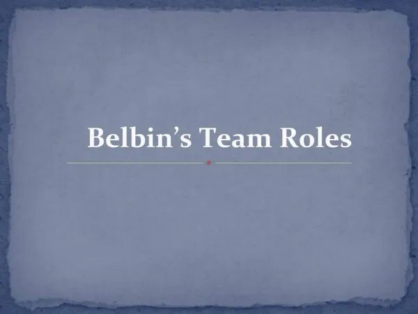 Belbin s Team Roles