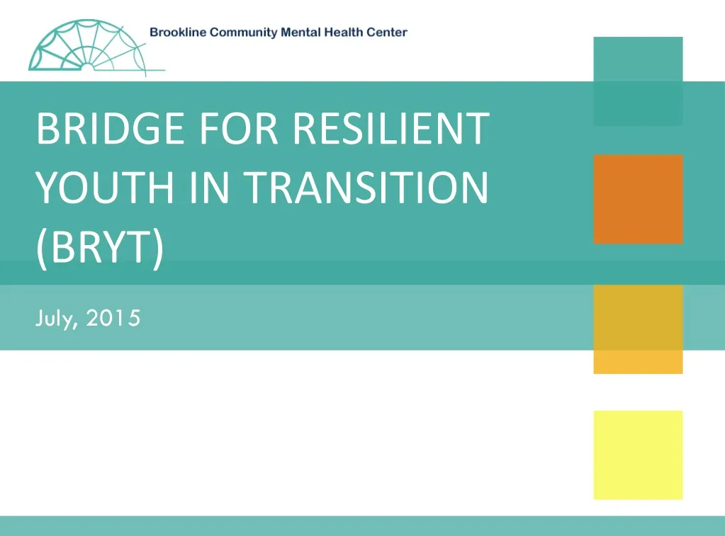 bridge for resilient youth in transition bryt