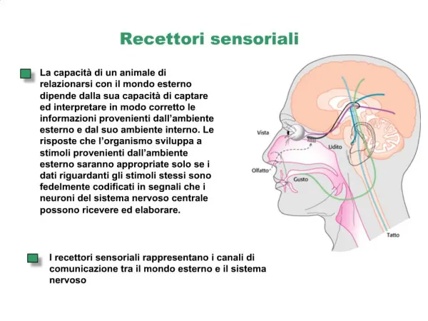 Recettori sensoriali