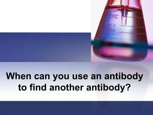 When can you use an antibody to find another antibody