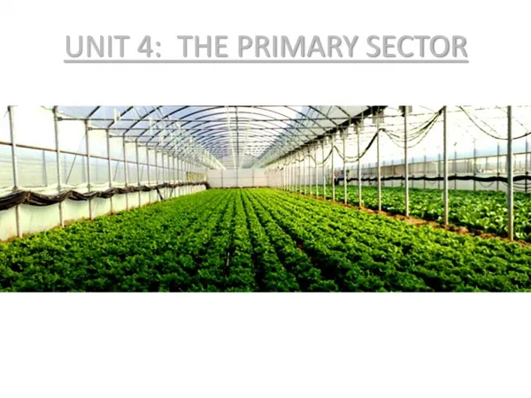 UNIT 4: THE PRIMARY SECTOR