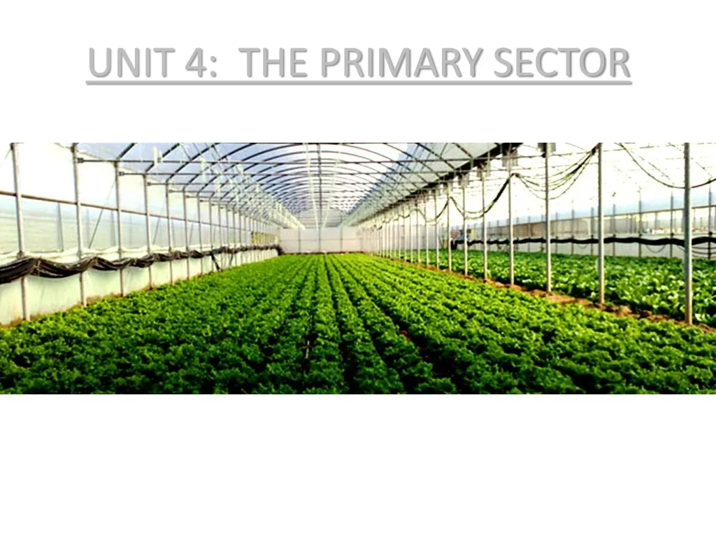 unit 4 the primary sector