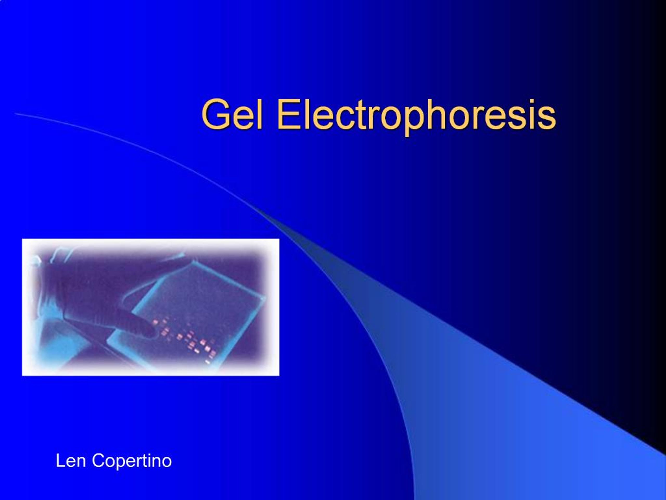 PPT - Gel Electrophoresis PowerPoint Presentation, free download - ID ...